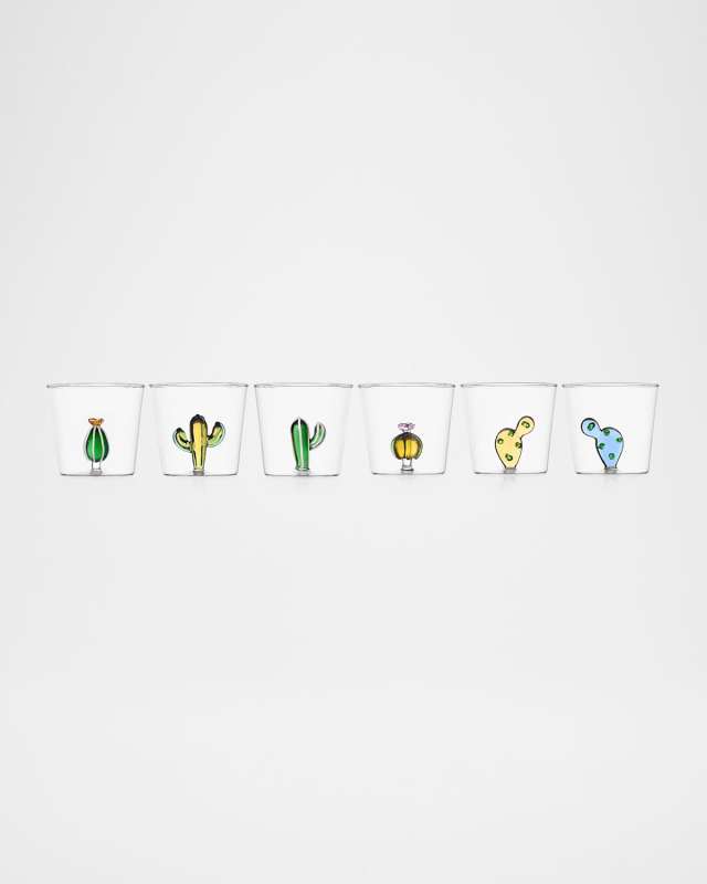 Desert Plants Assorted Tumblers, Set of 6